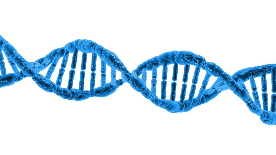 Investigación IB: Variante genética POLG y su relación con la baja respuesta ovárica.