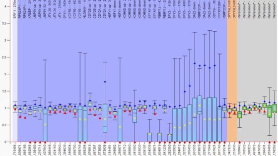 Einführung einer neuen Technik zur Verbesserung der Diagnose der männlichen Unfruchtbarkeit