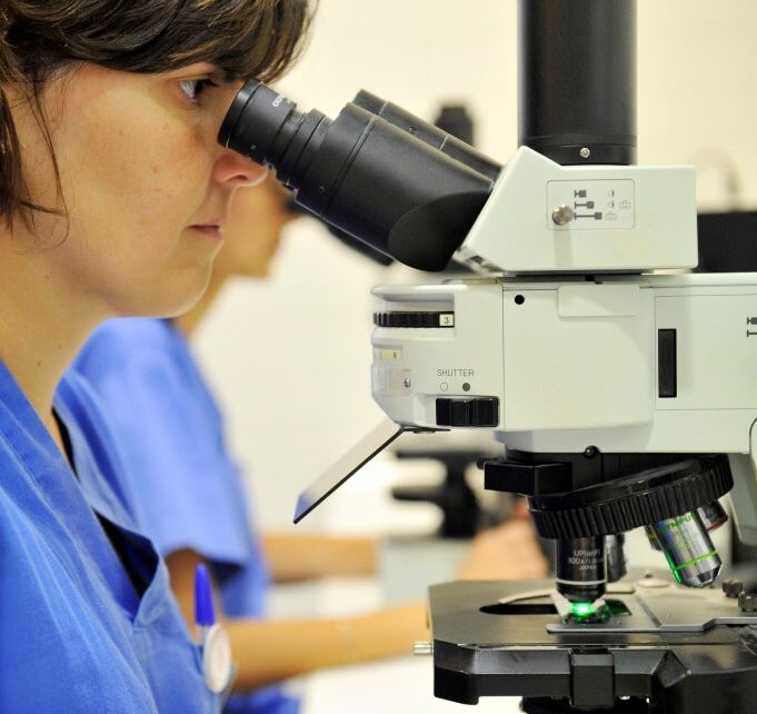 Investigación IB: Importancia del estudio cromosómico previo en pacientes con anomalías cromosómicas en sus embriones