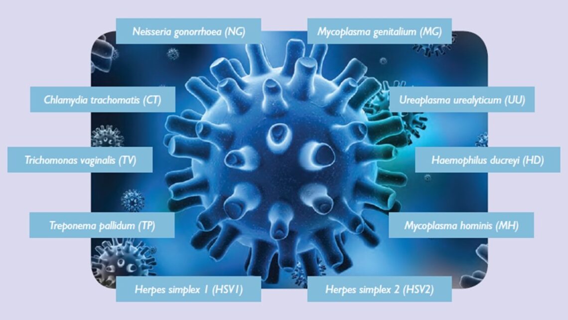 IB Research: avoiding sexually transmitted diseases in egg donors.