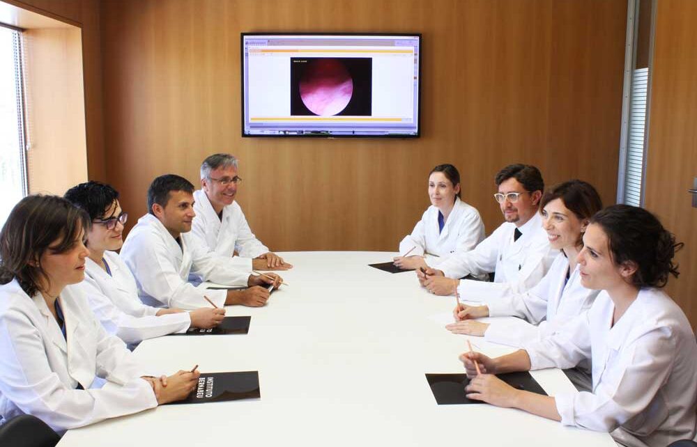 Sieben fachärzte vom instituto bernabeu erteilen den kurs über stammzellen und menschliche embryologie in der ua