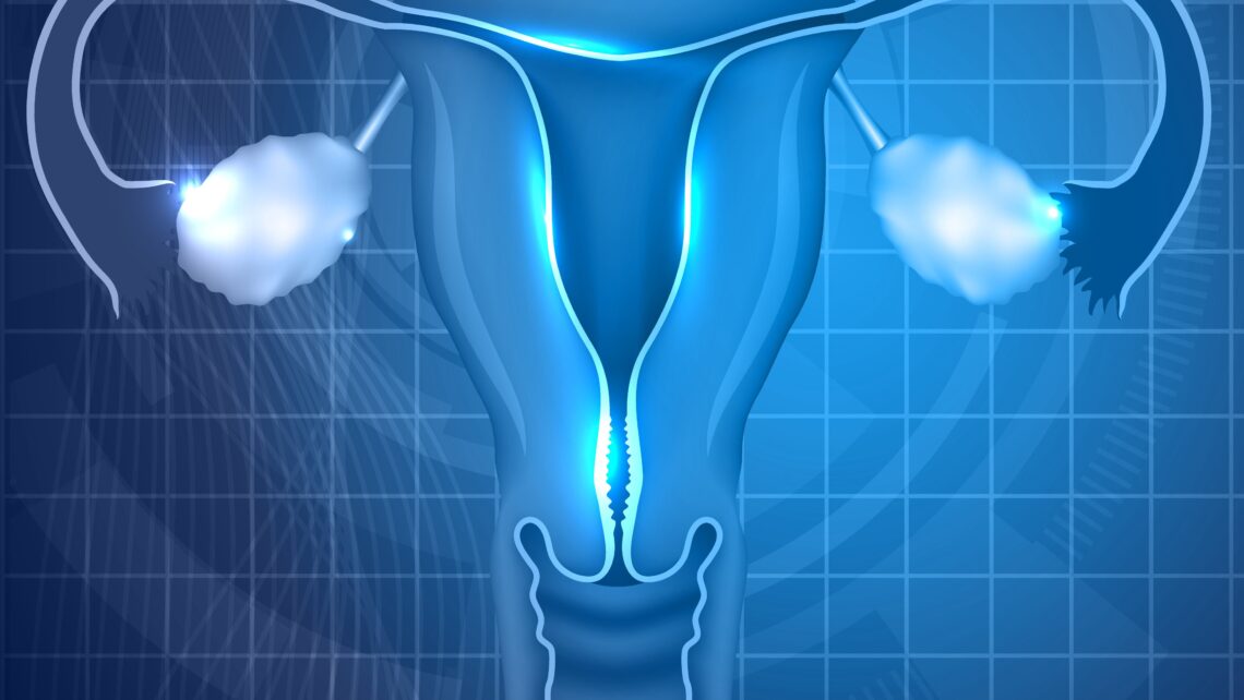 Investigación IB sobre los métodos de evaluación de peristalsis uterina antes de la transferencia de embriones.