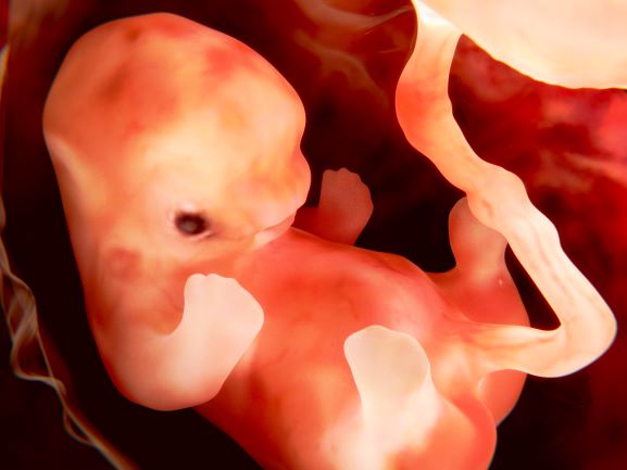 Il miracolo dell`impianto embrionario