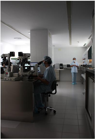 Extension and modernisation of the facilities of the reproductive biology laboratory