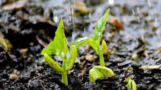 Gestágenos: ¿Qué son, cuál es su función y qué ventajas pueden aportar?