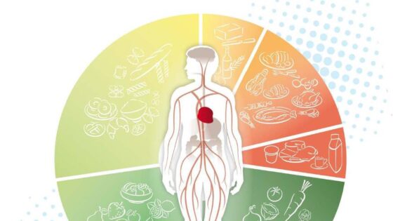 Influence of nutrition and living habits on semen quality. Speech by Dr. Bernabeu at the Universidad Complutense.