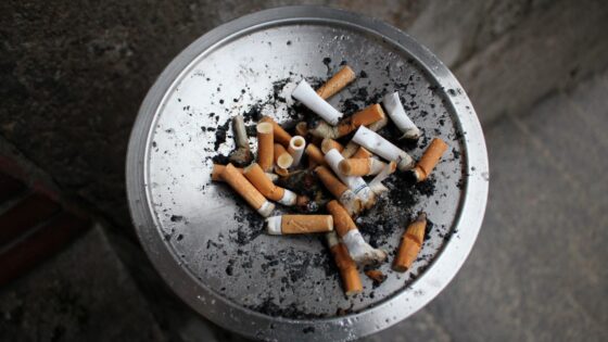 Tabak und Samenqualität