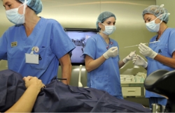 Transferring the embryos