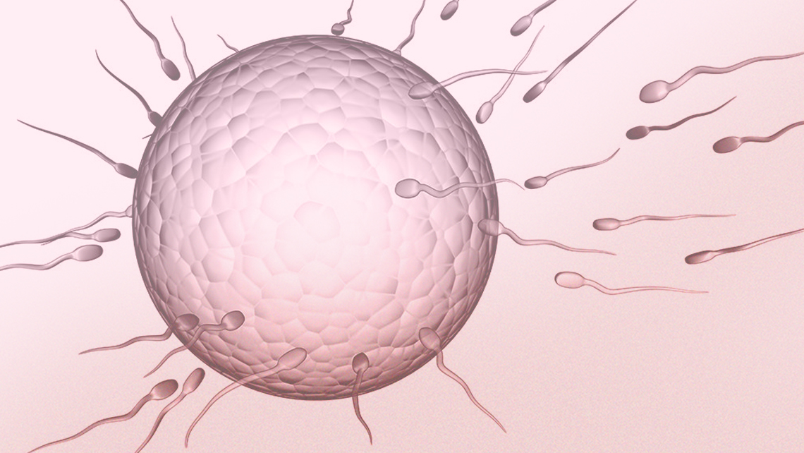 L’oligospermie et son traitement pour obtenir une grossesse