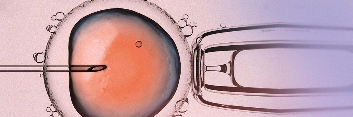 ICSI (Microinyección intracitoplasmática de espermatozoides)