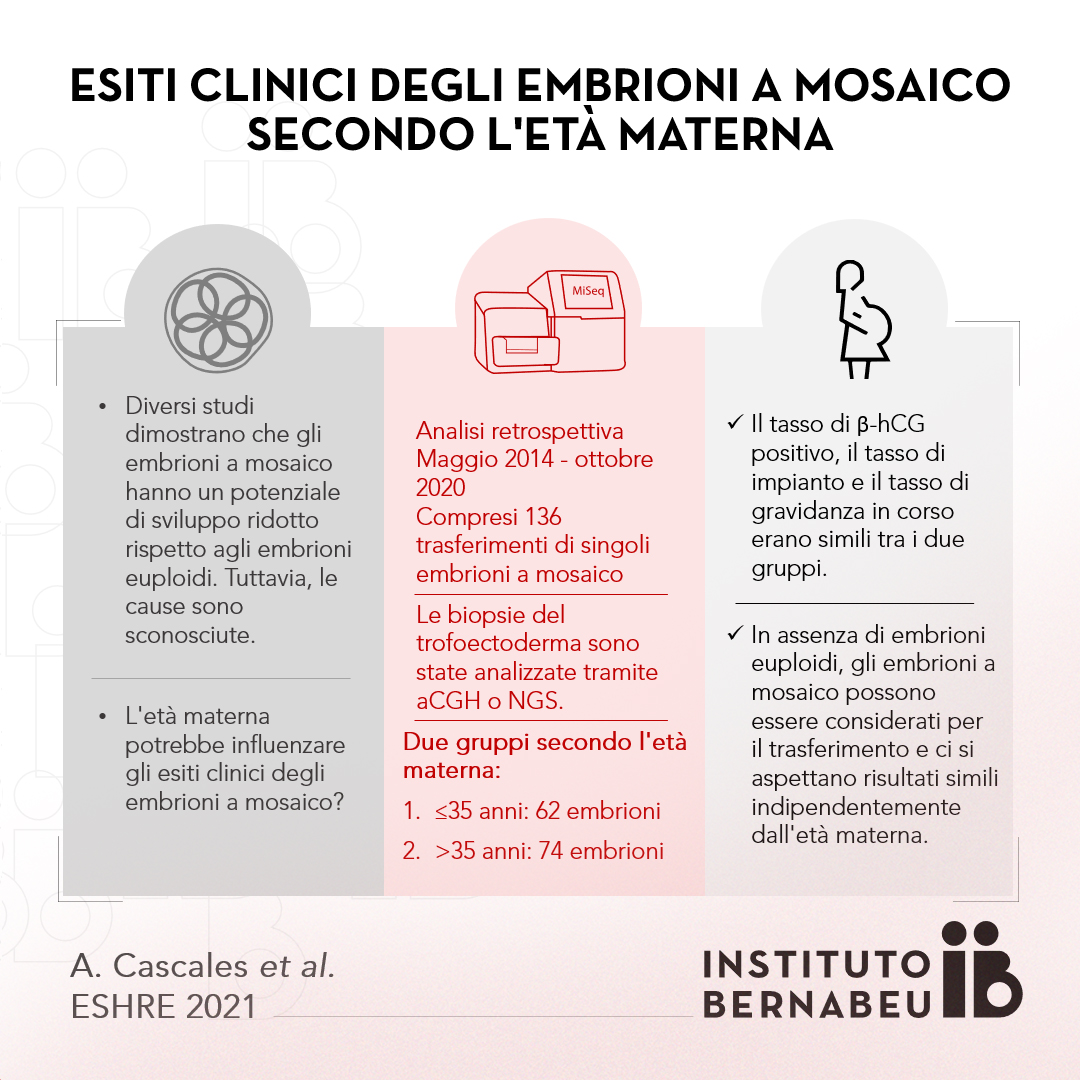 Una ricerca dell’Instituto Bernabeu presentata al ESHRE determina che i risultati clinici degli embrioni a mosaico sono simili in donne giovani e di età più avanzata