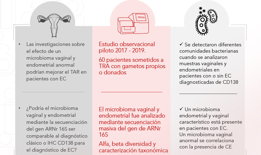 Instituto Bernabeu presenta en la ESHRE un estudio del microbioma vaginal como método de diagnóstico para la endometritis crónica
