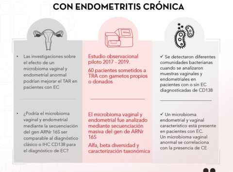 Instituto Bernabeu presenta en la ESHRE un estudio del microbioma vaginal como método de diagnóstico para la endometritis crónica