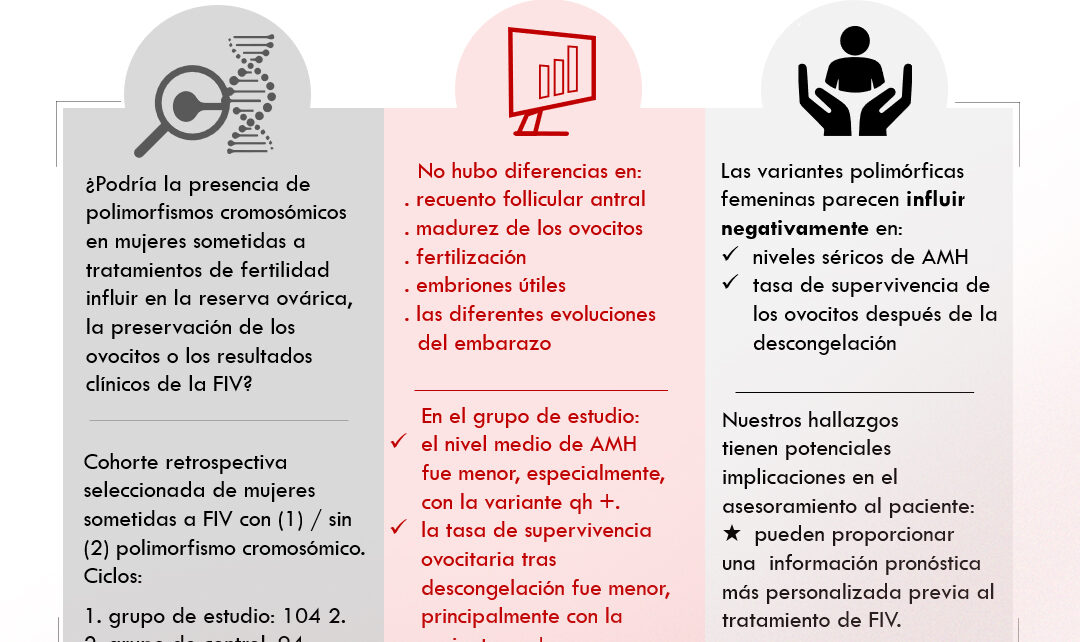 Instituto Bernabeu investiga los nexos entre los polimorfismos cromosómicos con los resultados de la fecundación in vitro