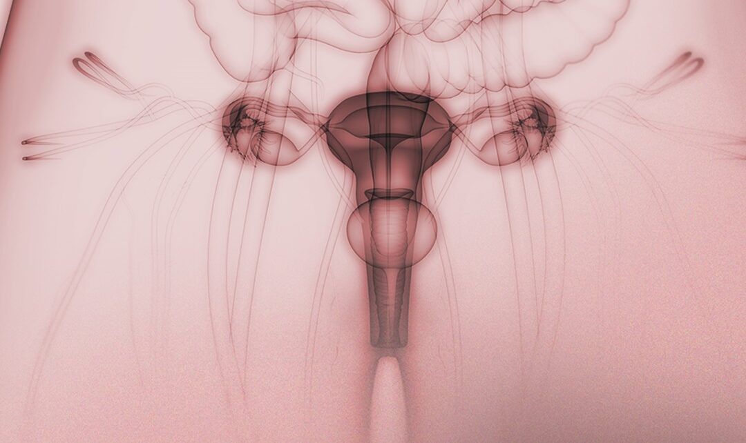 Was ist die Zervizitis? Ursachen, Symptome, Diagnose und Behandlung