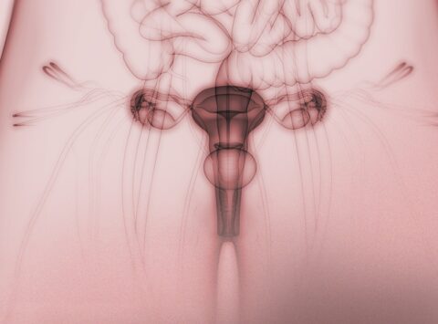 Cos’è la cervicite? Cause, sintomi, diagnosi e trattamento