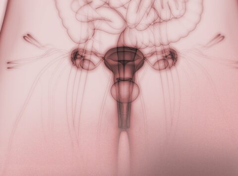 ¿Qué es la cervicitis? Causas, síntomas, diagnóstico y tratamiento