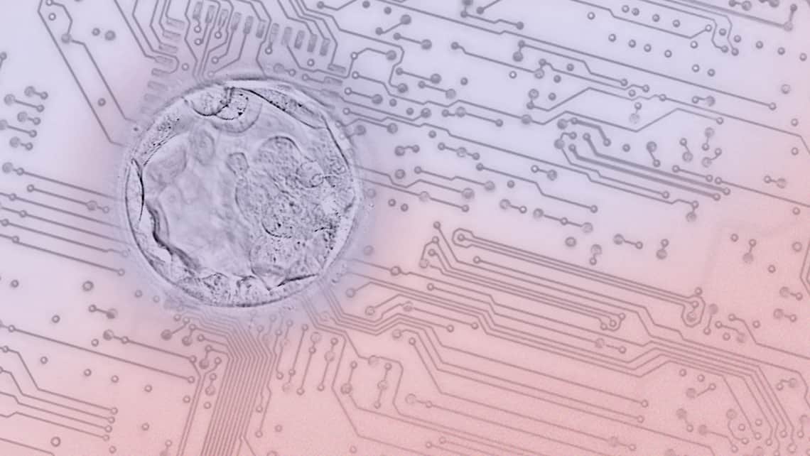 Eine Forschungsarbeit des Instituto Bernabeu arbeitet mit Künstlicher Intelligenz für die Vorhersage von Mosaizismus und Aneuploidien beim Embryo