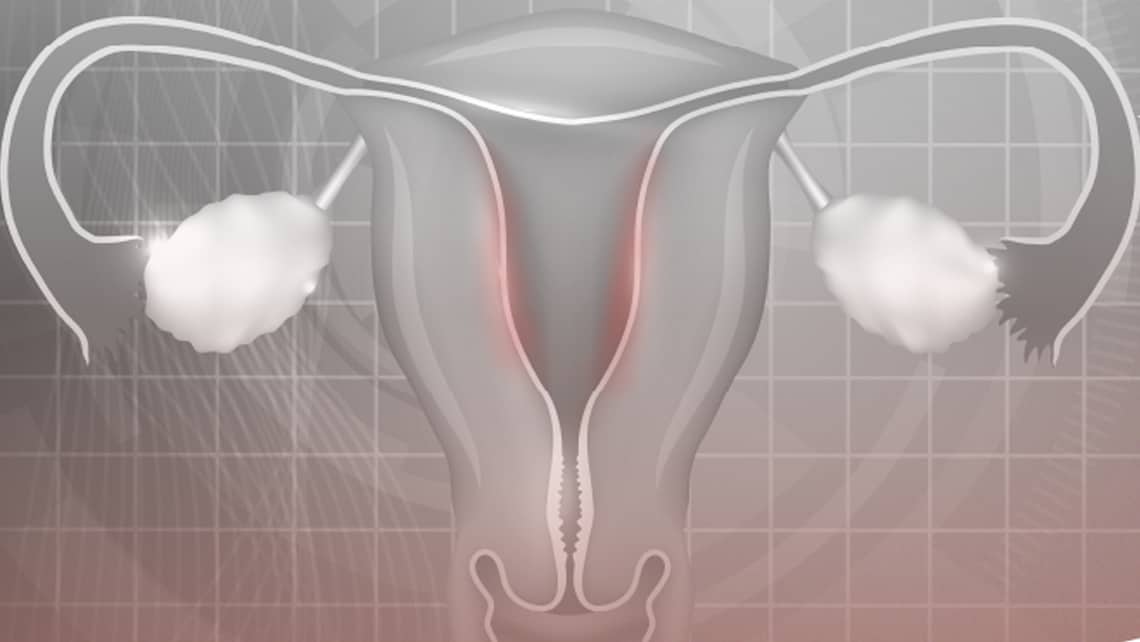 Instituto Bernabeu presenta en la ESHRE un estudio del microbioma vaginal como método de diagnóstico para la endometritis crónica