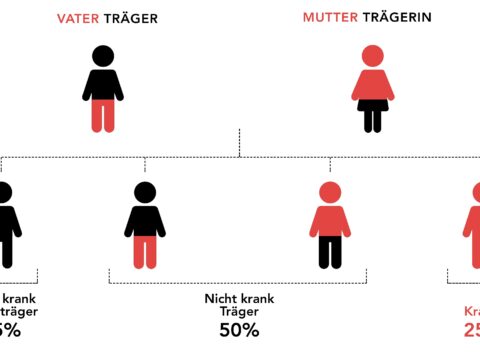 GKT (Genetischen Kompatibilitätstest) Krankheiten zu vermeiden