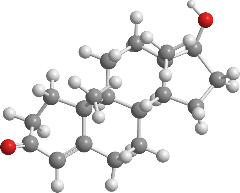 Testosterone and its effect on Male and female fertility