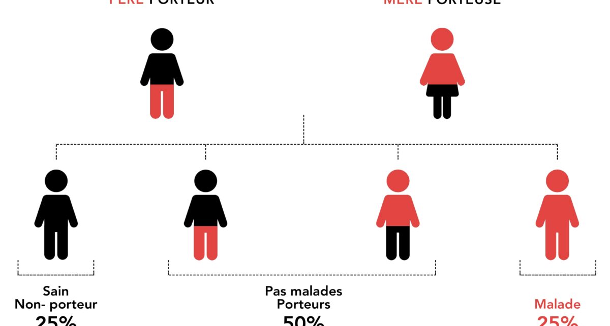 TCG compatibilité génétique pour éviter les maladies héréditaires