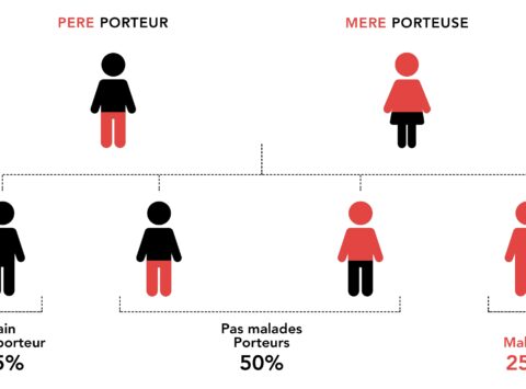 TCG compatibilité génétique pour éviter les maladies héréditaires