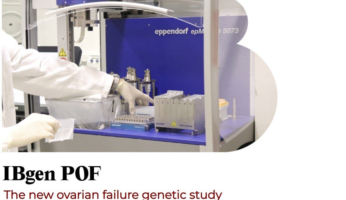 NEW IB NEWSLETTER: IBgen POF, the new ovarian failure genetic study