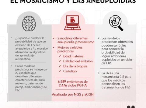 Una investigación del Instituto Bernabeu aplica la Inteligencia Artificial para predecir el mosaicismo y las aneuploidías en el embrión