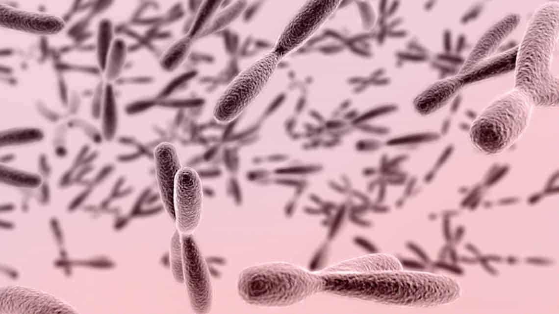 L’Instituto Bernabeu étudie les liens entre les polymorphismes chromosomiques et les résultats de la fécondation in vitro