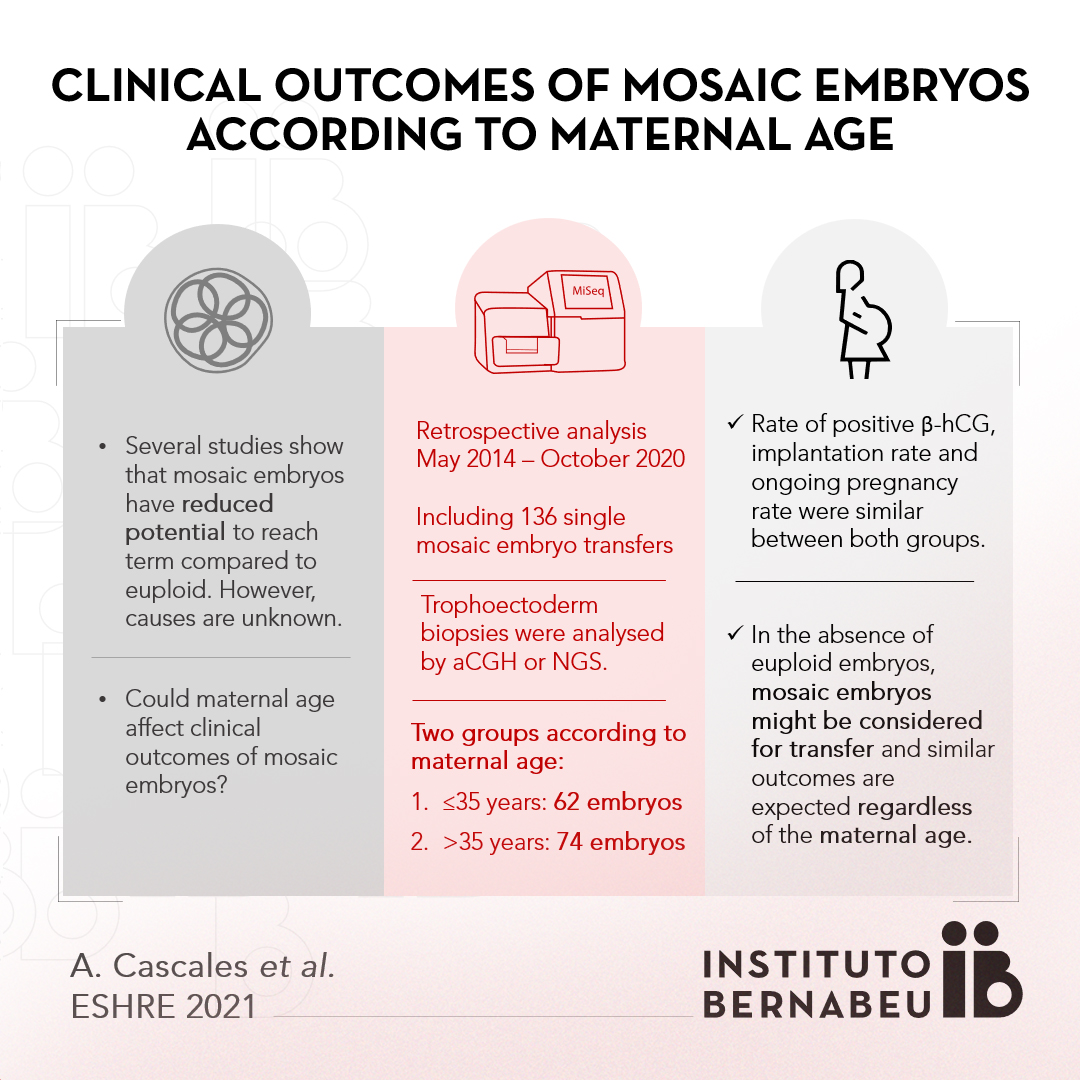 An Instituto Bernabeu investigation presented at ESHRE concludes that Clinical outcomes of mosaic embryos are similar between young and older women
