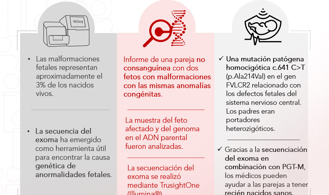 Instituto Bernabeu estudia la secuenciación del exoma y las pruebas genéticas previas a la implantación del embrión para detectar malformaciones fetales recurrentes inexplicables