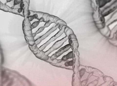 Das Instituto Bernabeu untersucht die Sequenzierung des Exoms und die genetischen Tests vor der Implantation des Embryos zur Entdeckung von unerklärlichen wiederholten Fehlbildungen des Fötus