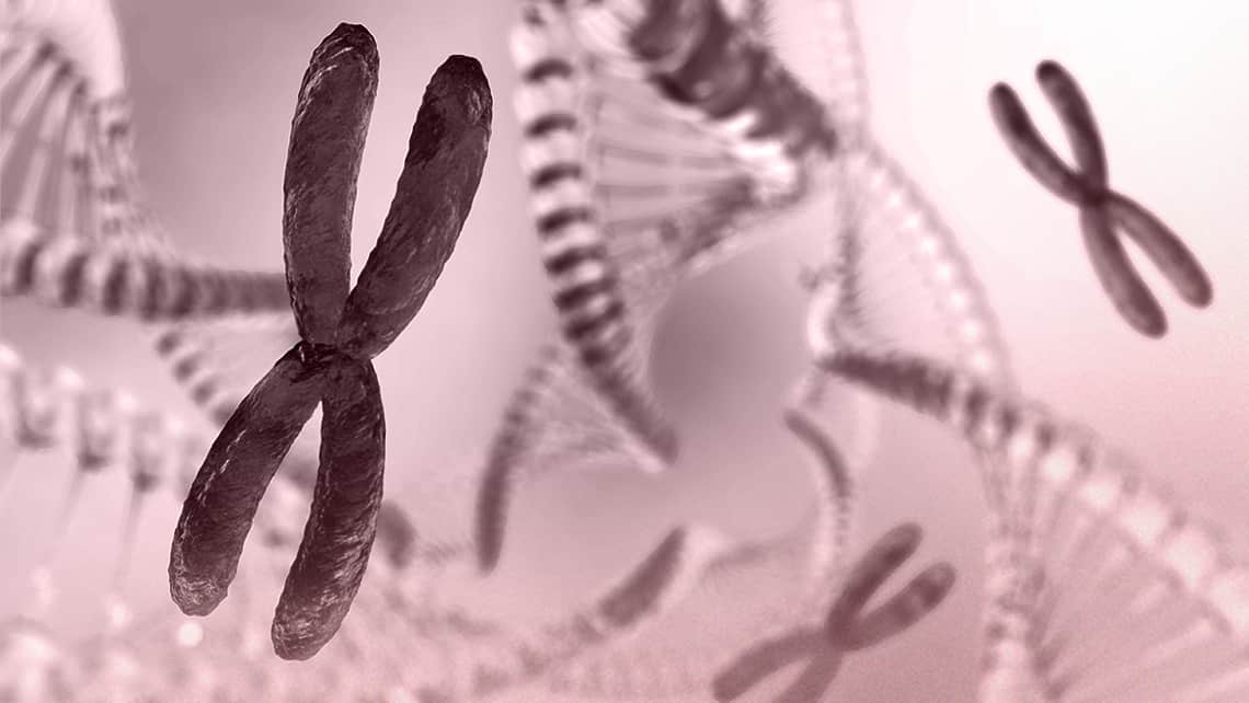 Instituto Bernabeu identifiziert Genvarianten bei Frauen mit einer vorzeitigen ovariellen Insuffizienz durch eine vollständige Exom Sequenzierung