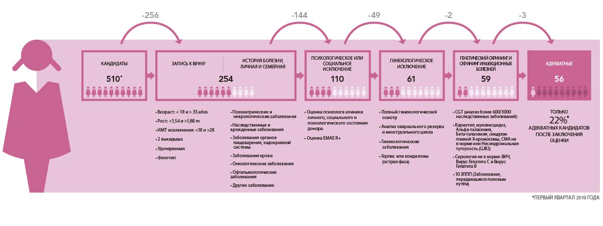 Женщины доноры яйцеклеток. Донорство яйцеклеток. Донор яйцеклетки льготы. Донорская яйцеклетка. Донор яйцеклетки сколько платят.