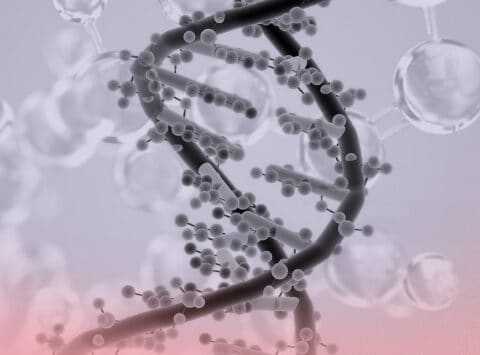 HLA C antigen and its impact on implant development