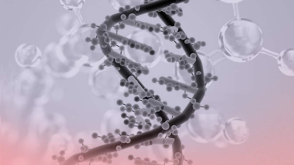 HLA C antigen and its impact on implant development