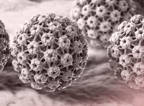 Impact of Human Papillomavirus (HPV) on Semen and Male Reproductive Difficulties