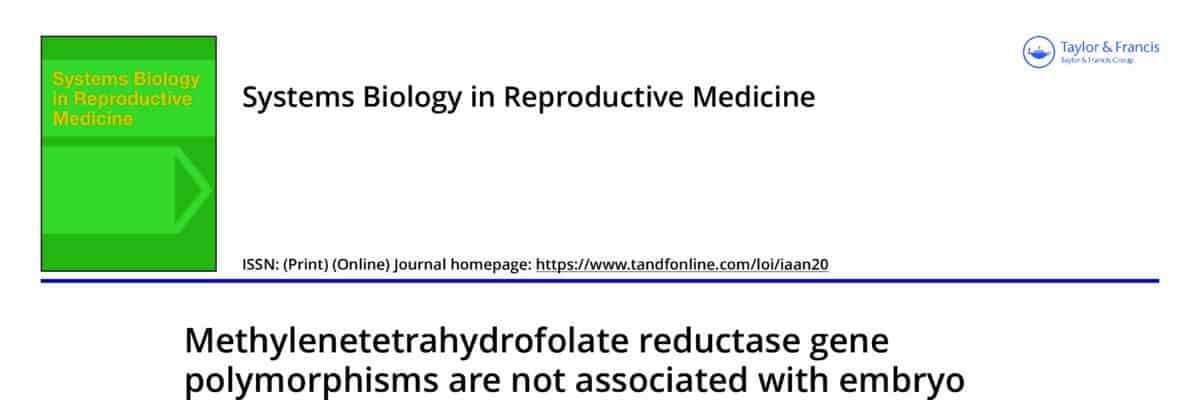 Methylenetetrahydrofolate reductase gene polymorphisms are not associated with embryo chromosomal abnormalities and IVF outcomes