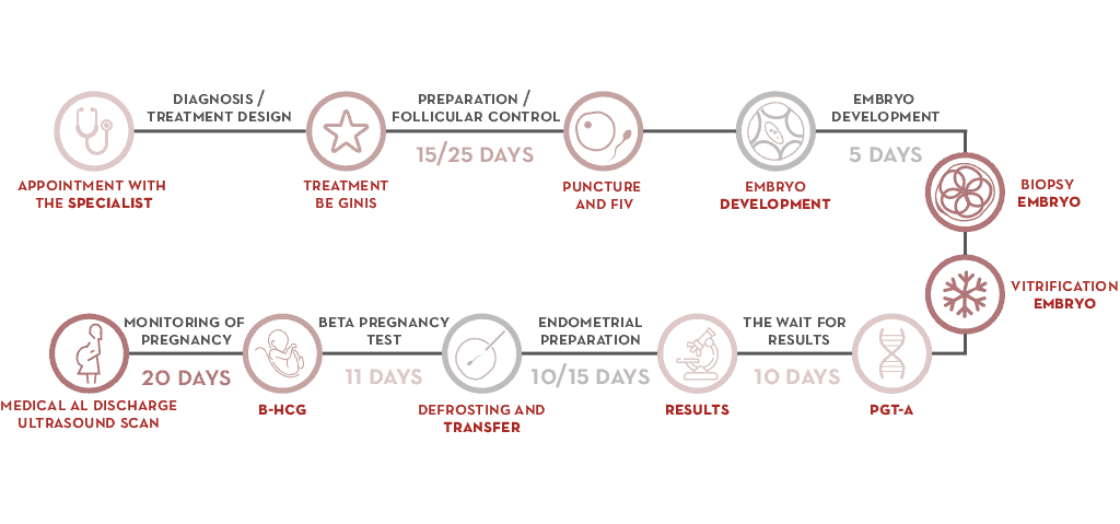 What does Non-invasive PGT-A consist of?