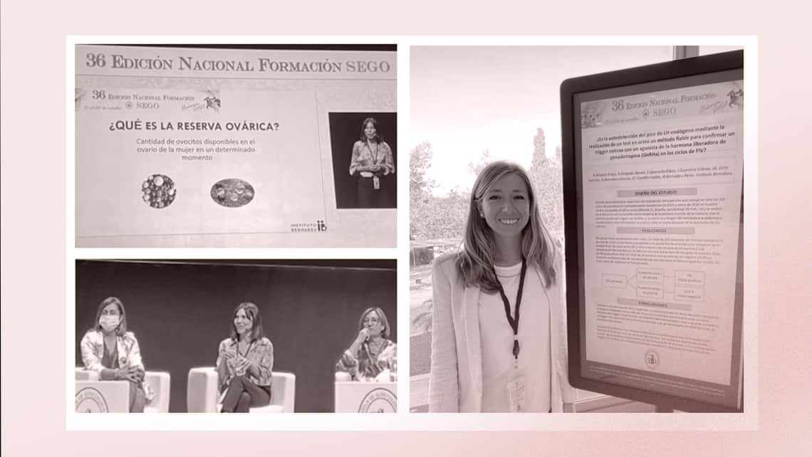 The Bernabeu Institute discusses techniques to determine ovarian reserve at the 36th Congress of the Spanish Society of Gynaecology and Obstetrics (SEGO)