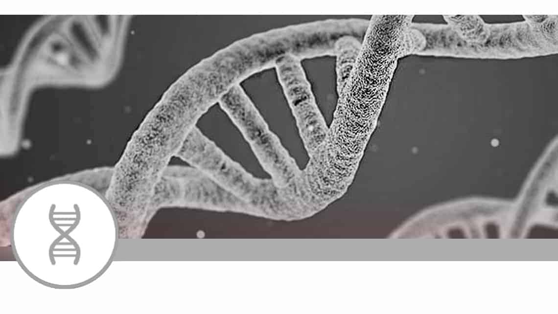 Whole-exome sequencing in premature ovarian failure