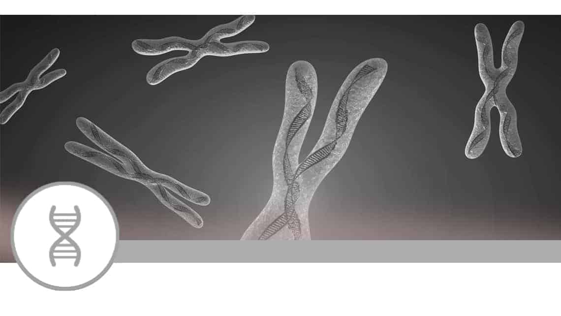 Predictive model for chromosomal abnormalities