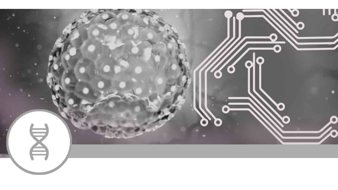 Machine learning e implantación de embriones euploides