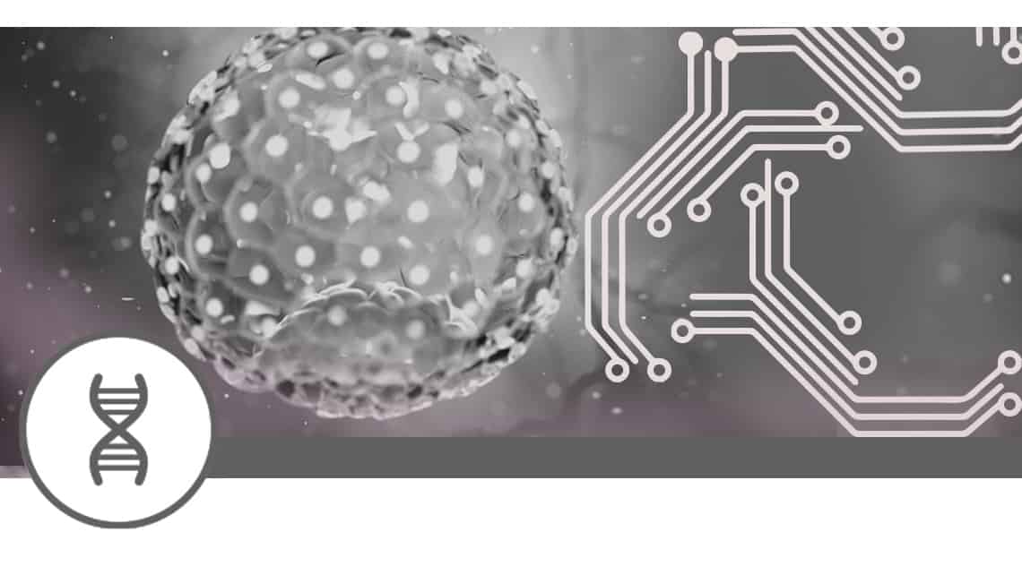 Machine learning and euploid embryo implantation