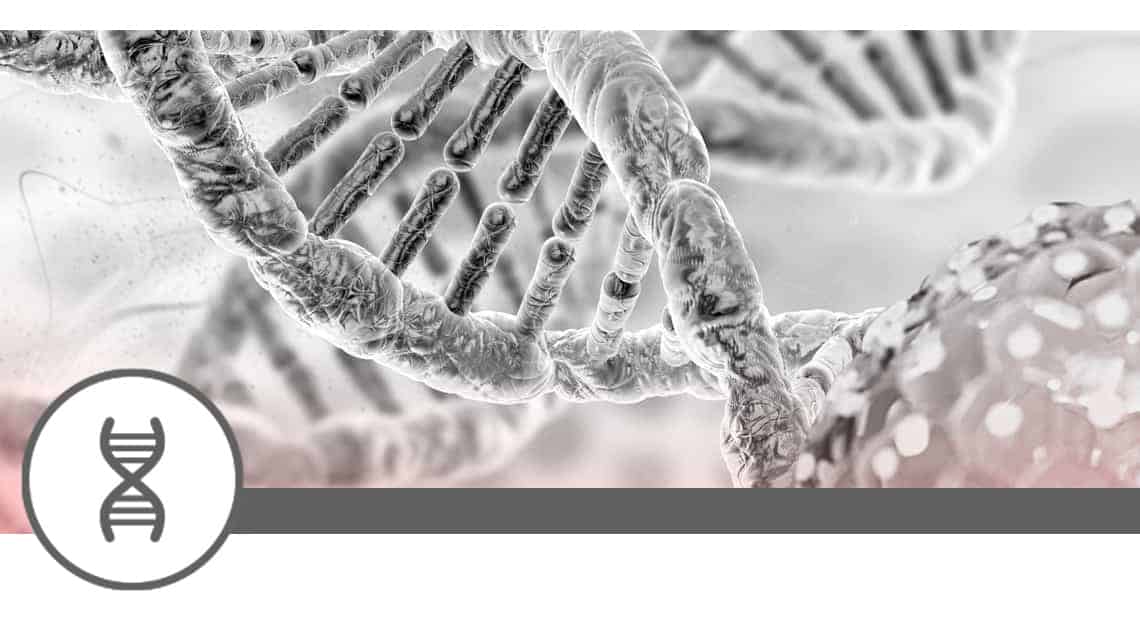 Meta-analysis and systematic review of factors associated with embryonic mosaicism