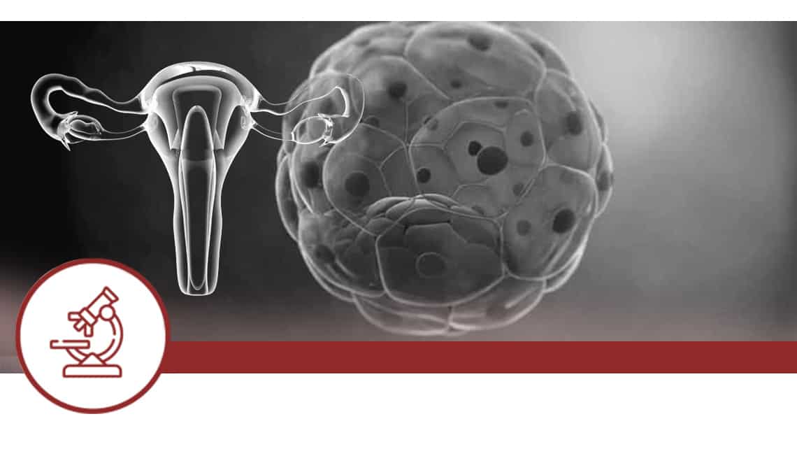 Correlation between clinical findings and embryonic chromosomal status by non-invasive analysis