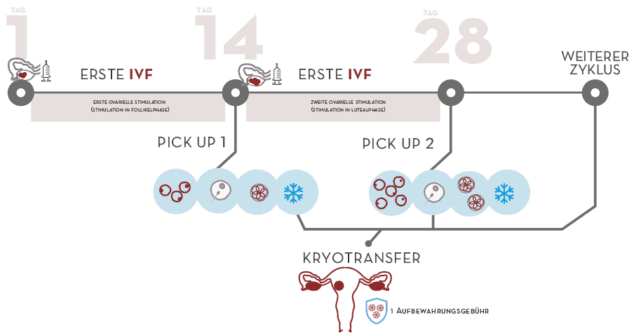 Doppelte IVF bei niedriger ovarieller Reserve