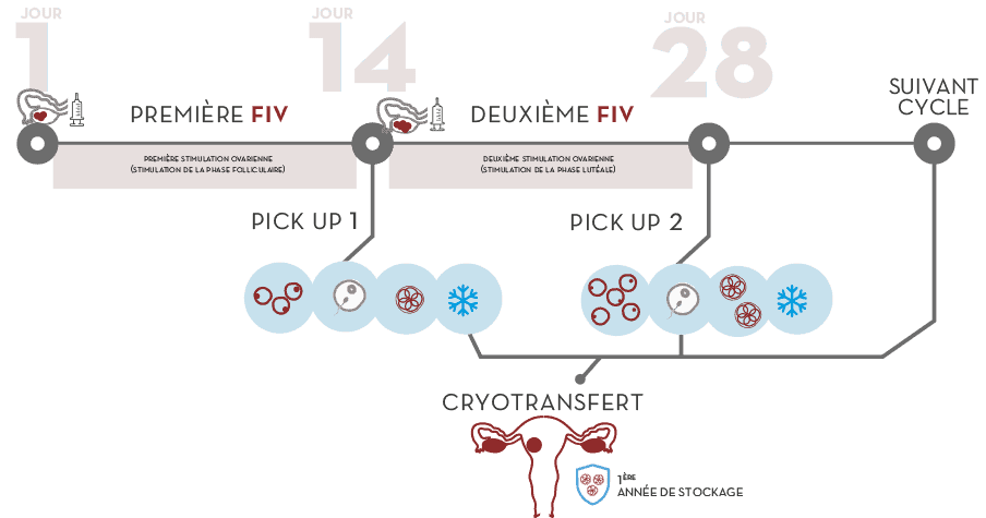 Double FIV pour faible réserve ovarienne