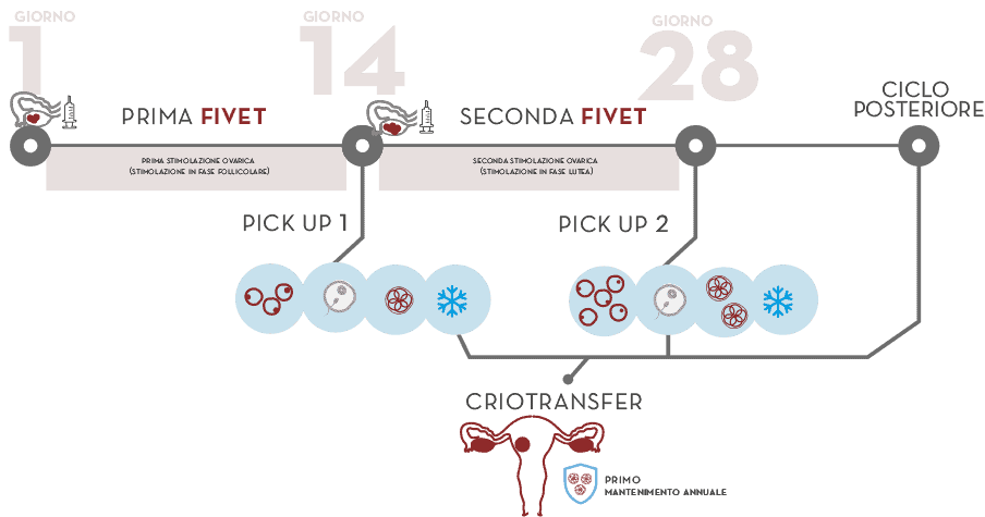 Doppia FIV per bassa riserva ovarica